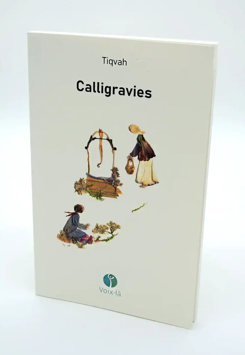 Couverture du livre Calligravies