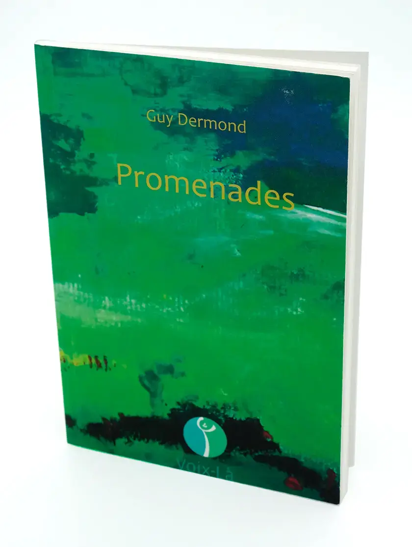 Couverture du livre Promenades