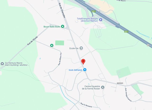 Carte Google en image